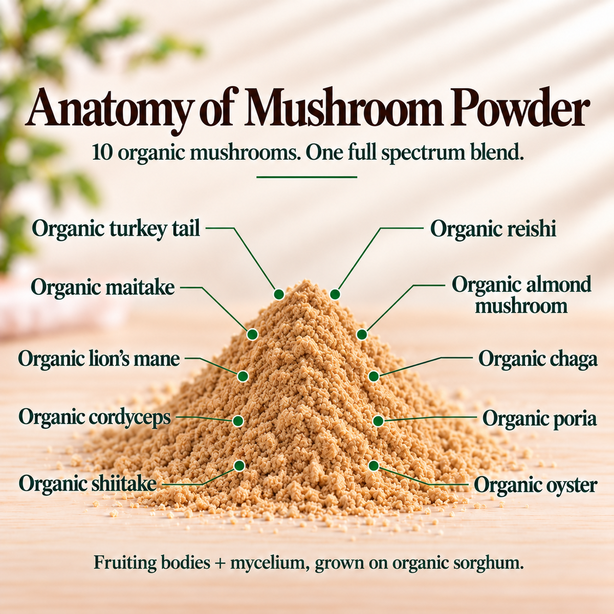 Mushroom Powder