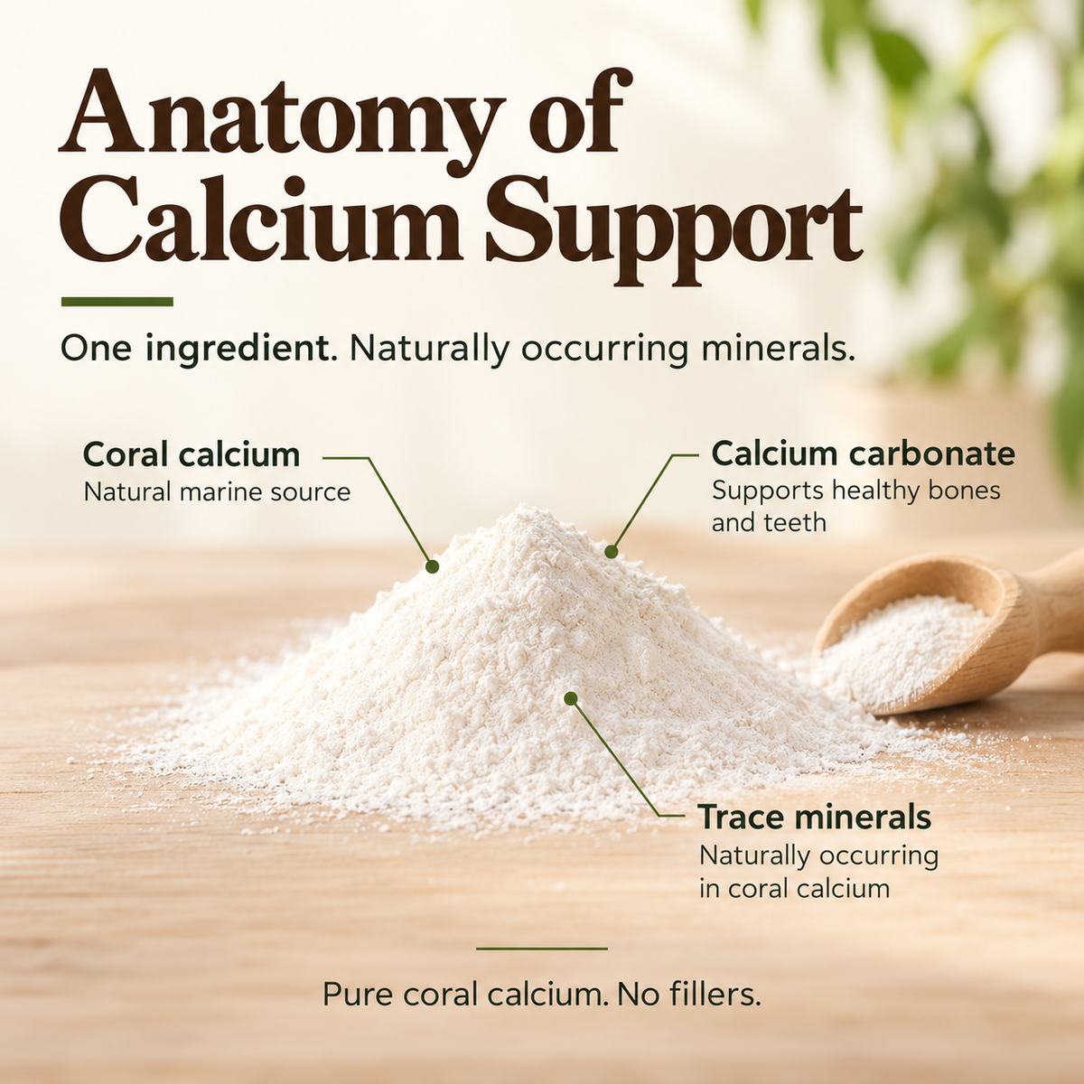 Calcium Support
