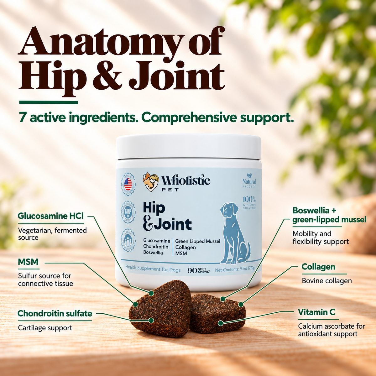 Hip & Joint