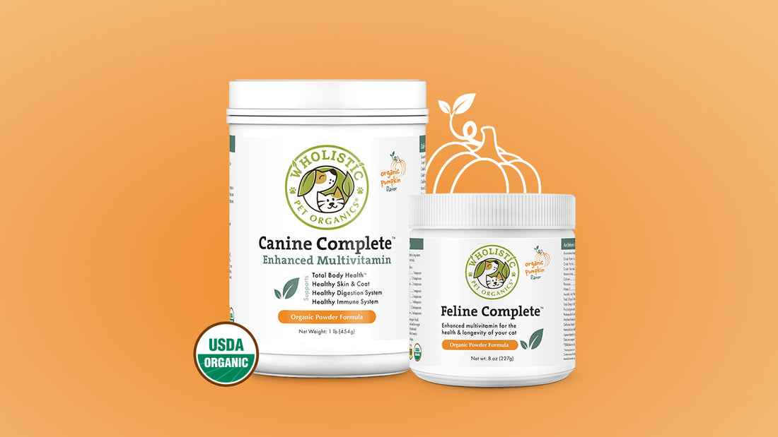 Introducing Organic Pumpkin Complete™