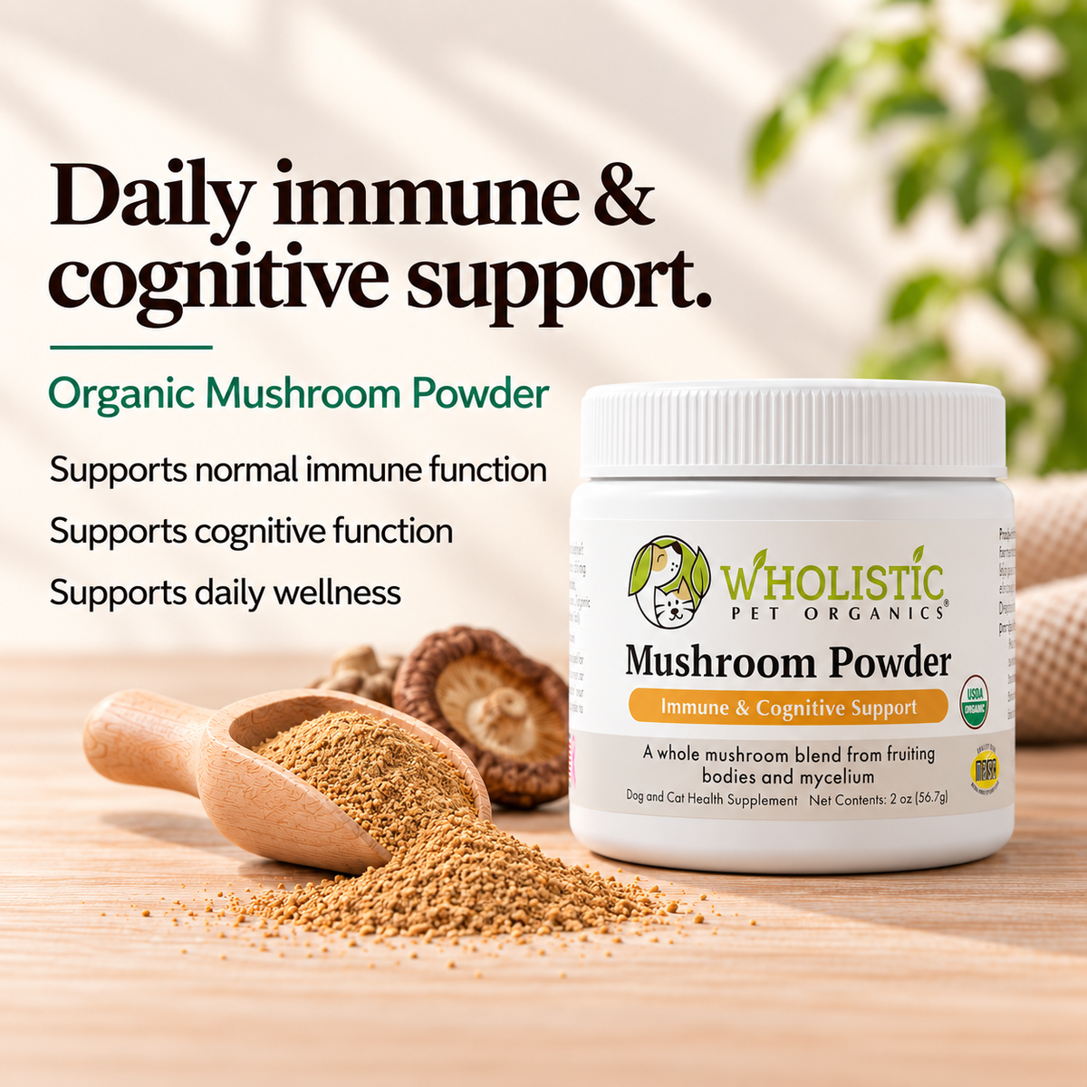 Mushroom Powder