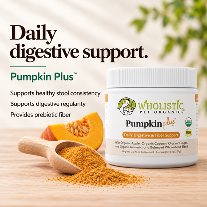 Pumpkin Plus