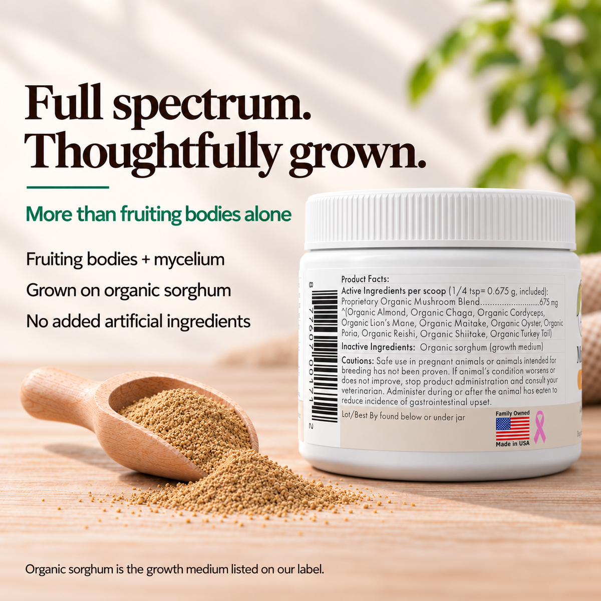 Mushroom Powder