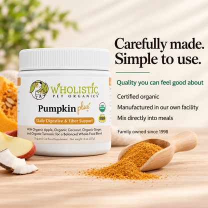 Pumpkin Plus