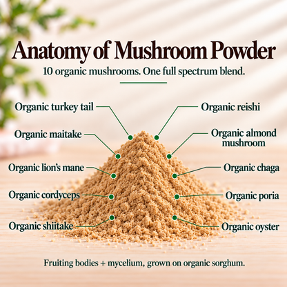 Mushroom Powder