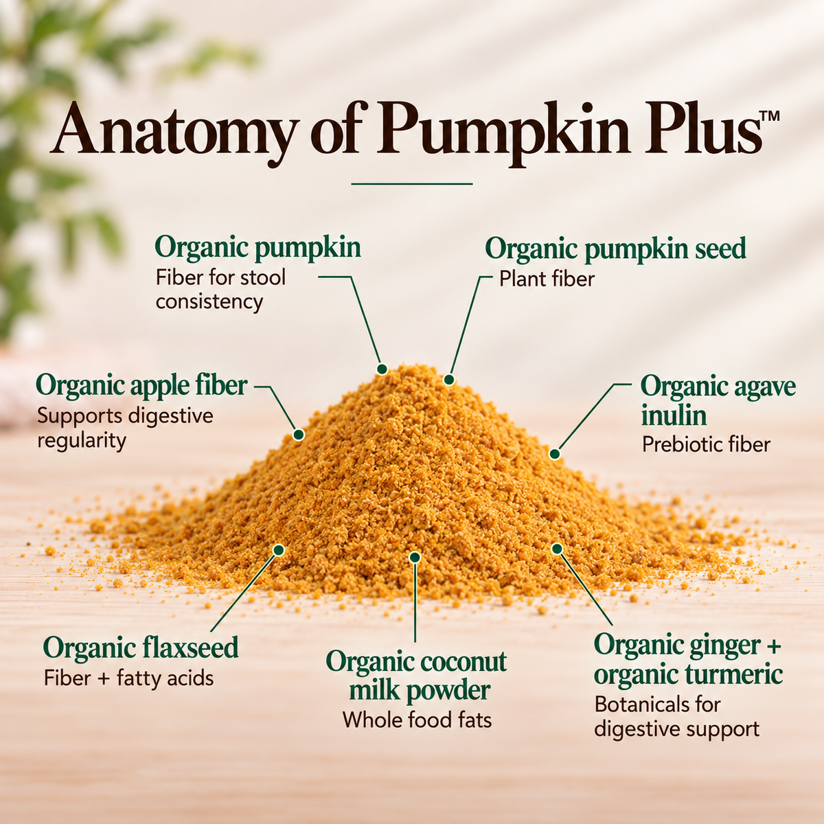 Pumpkin Plus