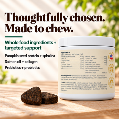 Daily Multi & Wellness