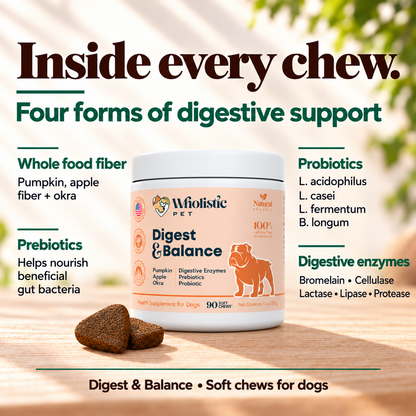 Digest & Balance