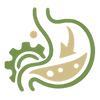 Digestive Enzymes