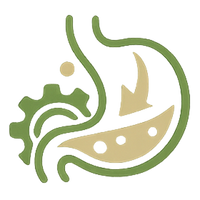 Digestive Enzymes