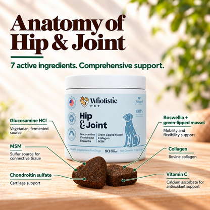 Hip & Joint