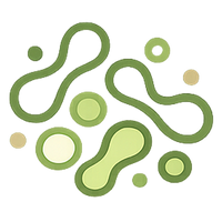 Probiotics