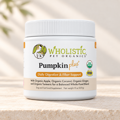 Pumpkin Plus