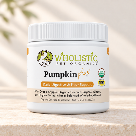 Pumpkin Plus