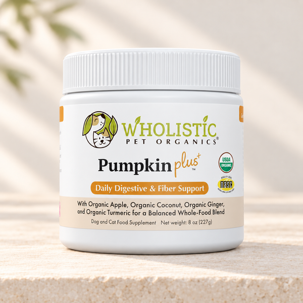 Pumpkin Plus