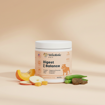 Wholistic Pet Digest & Balance Soft Chews with pumpkin, apple, okra, and soft chews.