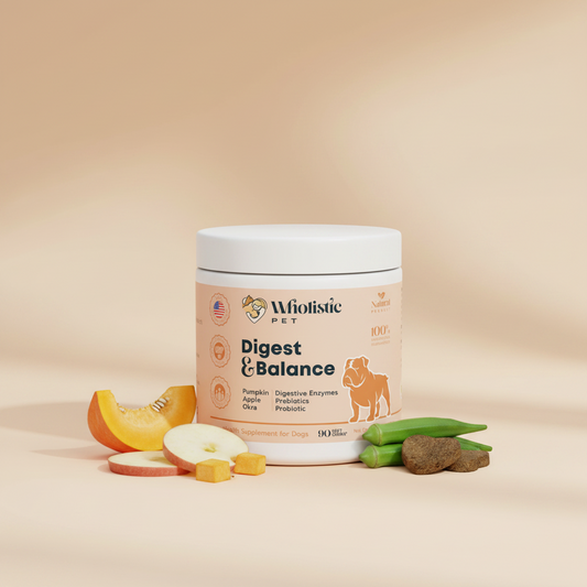 Wholistic Pet Digest & Balance Soft Chews with pumpkin, apple, okra, and soft chews.