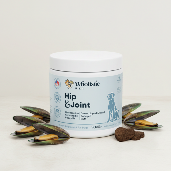 Hip and Joint dog supplement with green lipped mussels, glucosamine, and chondroitin shown with natural ingredients on a clean background