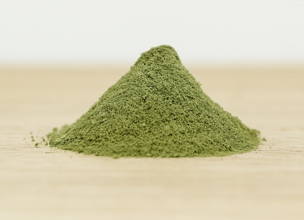 Whole Food Vitamin & Mineral Supplements | Wholistic Pet Organics