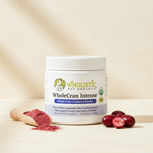 Wholistic Pet Organics WholeCran Intense cranberry powder supplement with fresh cranberries and cranberry powder.
