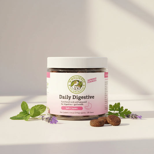 Daily Digestive Soft Chews