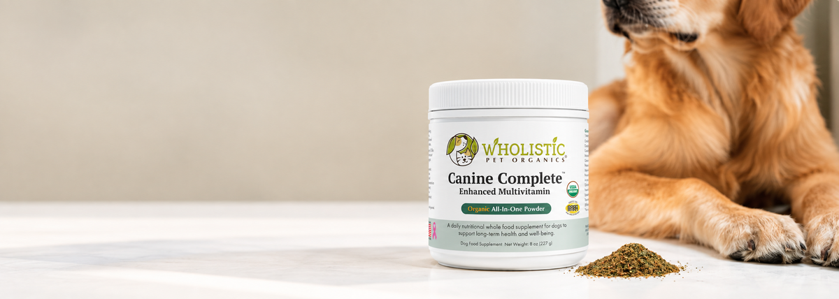 Wholistic Pet Organics Canine Complete with a golden retriever.