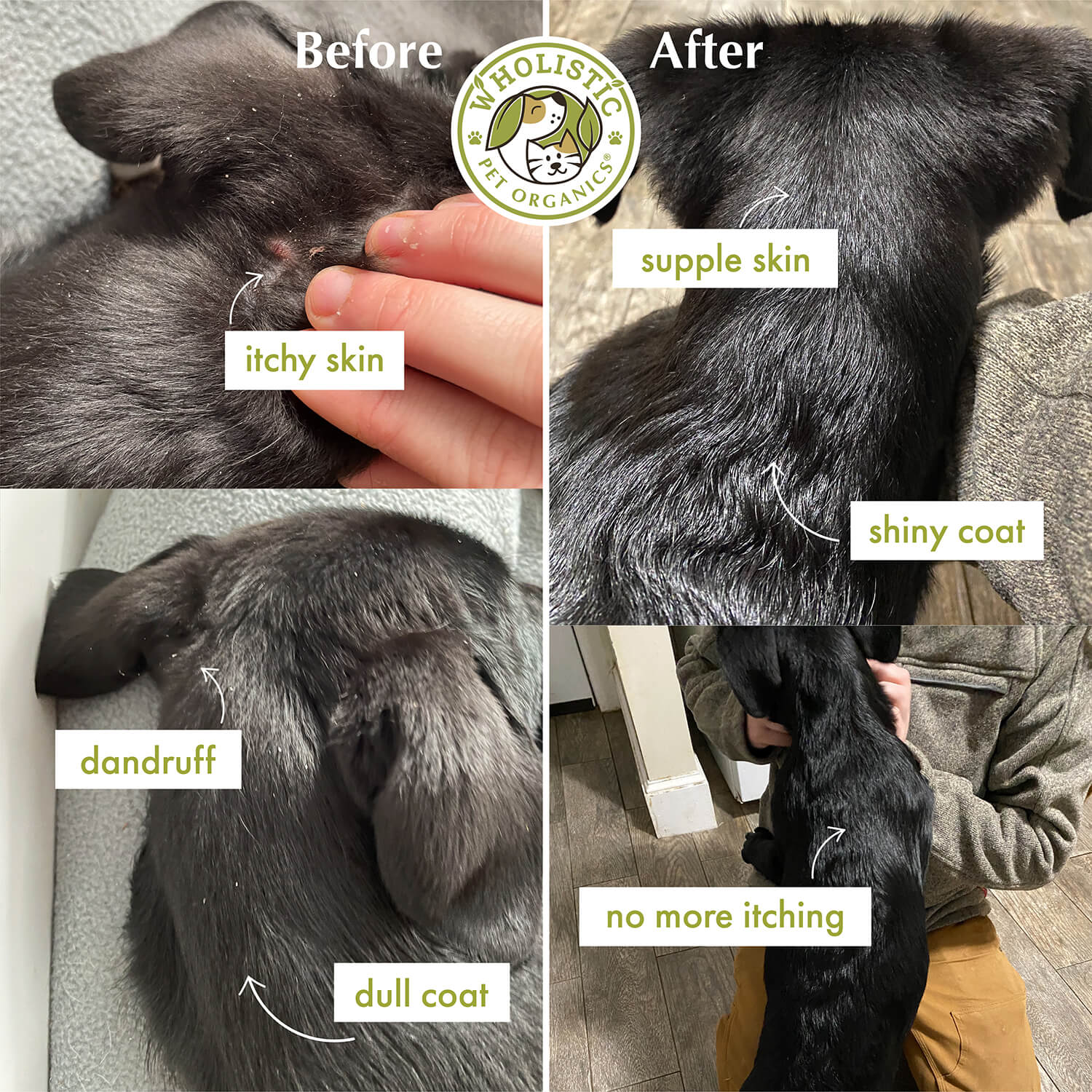 Wholistic Pet Organics Salmon Oil™