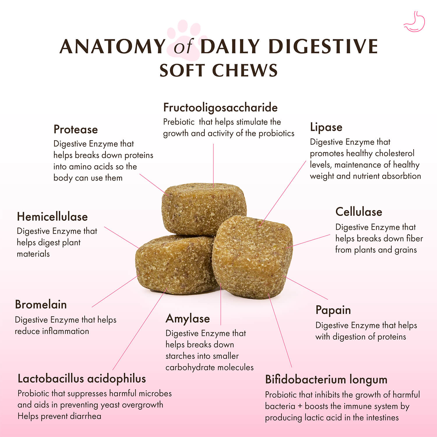 Daily Digestive Soft Chews