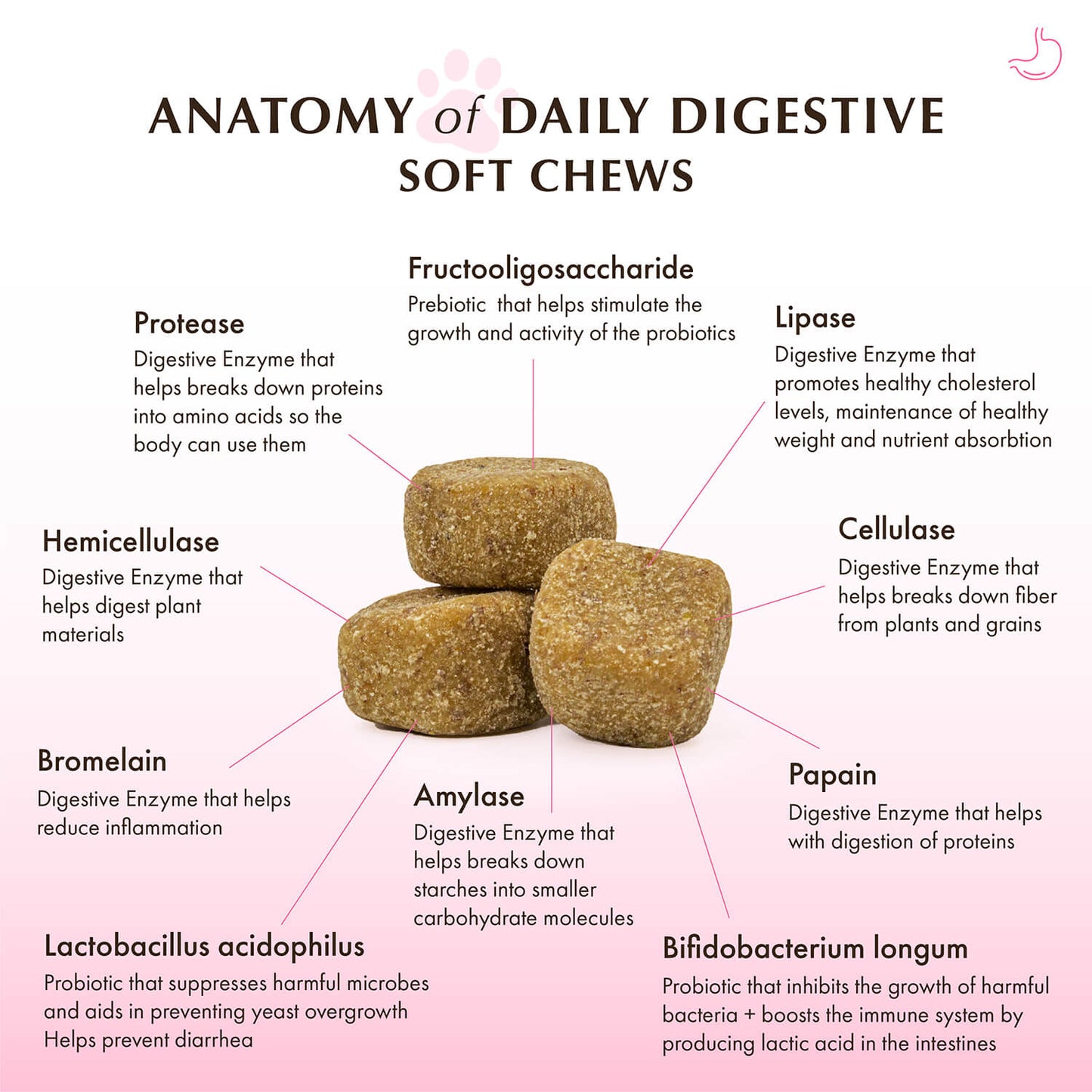Daily Digestive Soft Chews