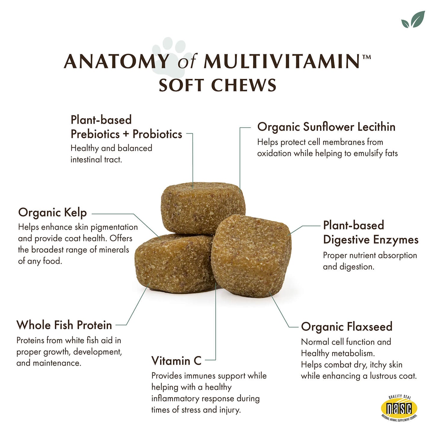 Daily Multivitamin Soft Chews